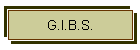G.I.B.S.