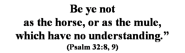 Text Box: Be ye not
as the horse, or as the mule,
which have no understanding.
(Psalm 32:8, 9)
